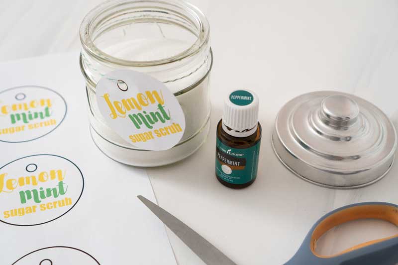 Handmade 8 oz. Lemon & Peppermint Antibacterial Hand Scrub – Love