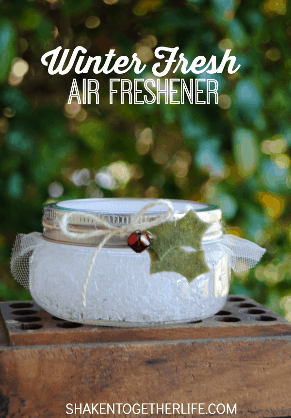 Winter Fresh Air Fresheners