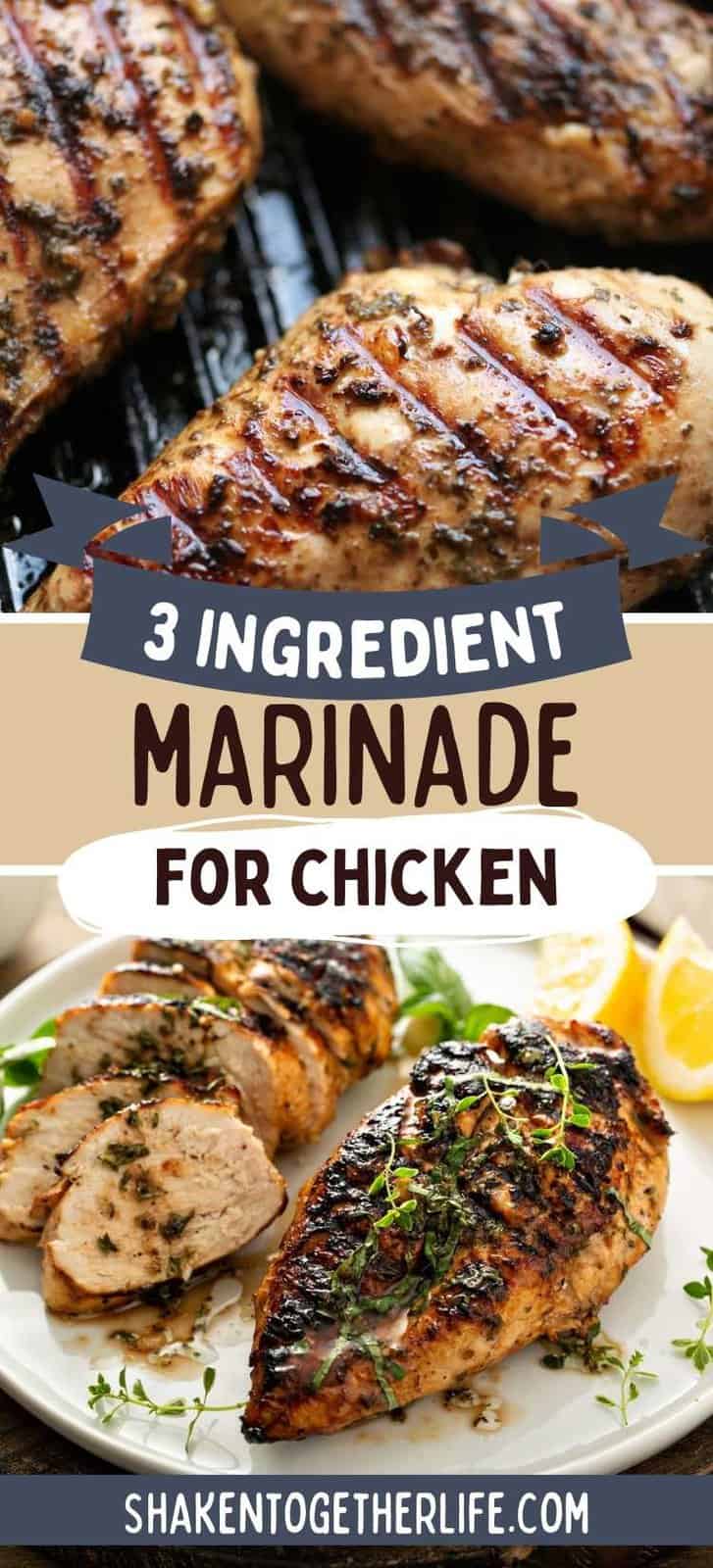 The Best 3 Ingredient Chicken Marinade - Shaken Together