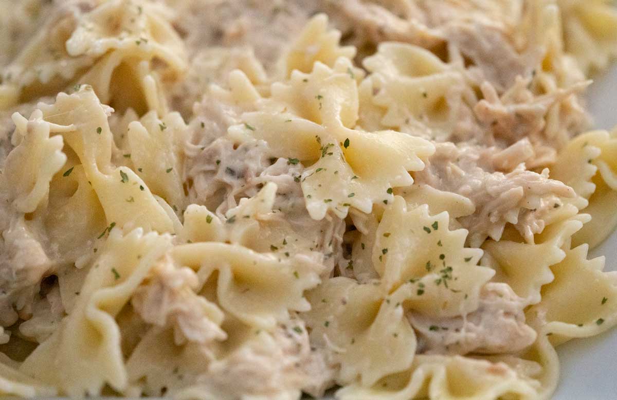 https://www.shakentogetherlife.com/wp-content/uploads/2021/11/slow-cooker-creamy-ranch-chicken.jpg