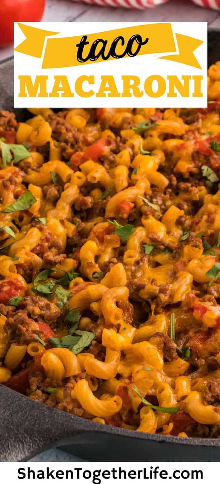 One Pot Taco Macaroni - Shaken Together