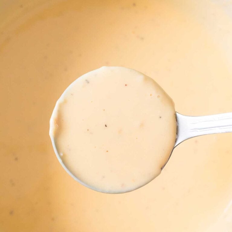 Easy Velveeta Cheese Sauce Shaken Together   Easy Cheese Sauce 768x768 