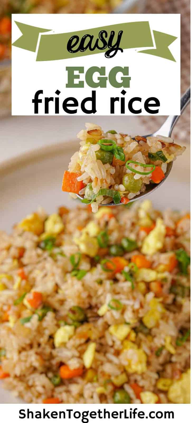 Easy Egg Fried Rice - 15 Minute Recipe - Shaken Together