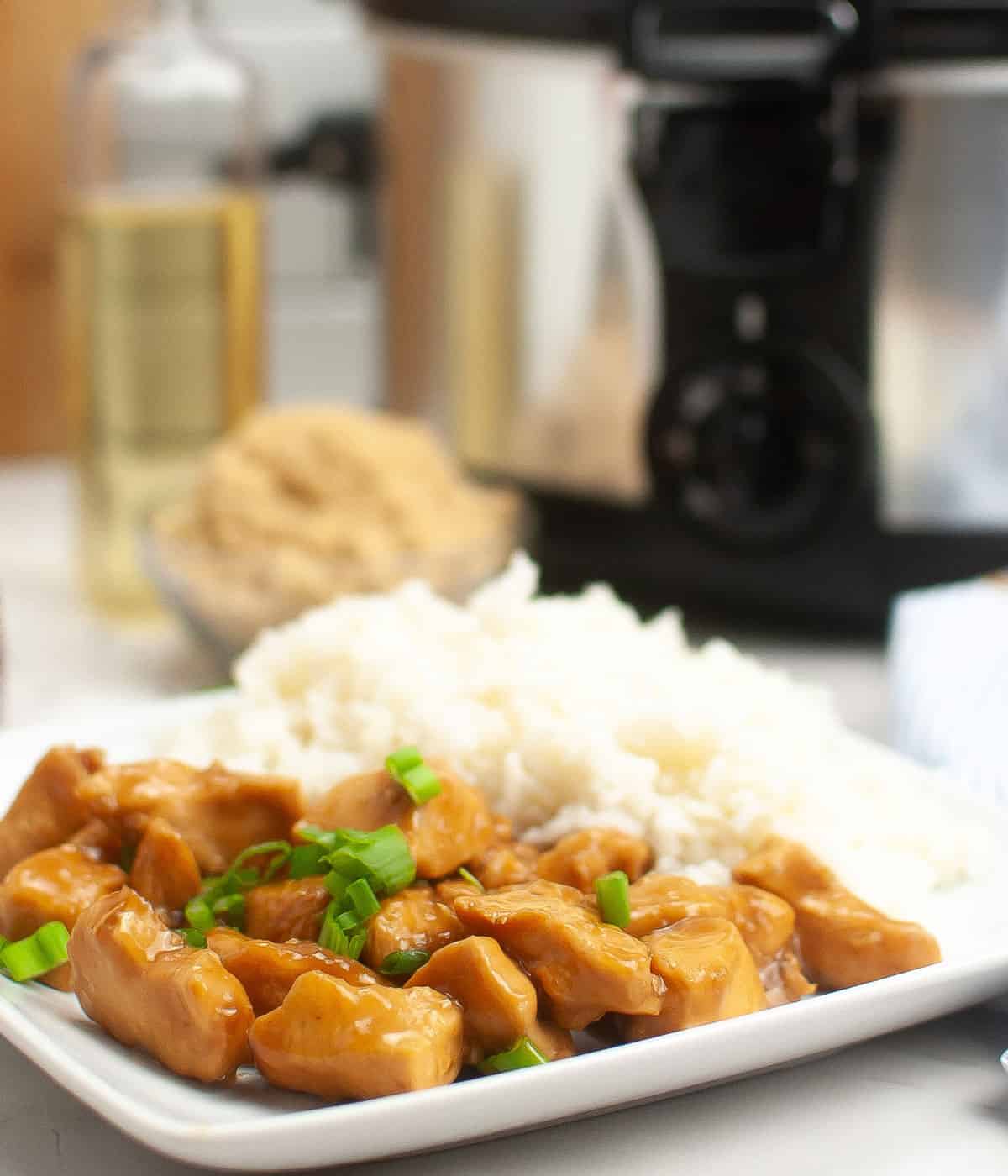 Slow Cooker Teriyaki Chicken - Shaken Together